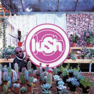 Lush- Lovelife (Indie Exclusive Clear Vinyl)