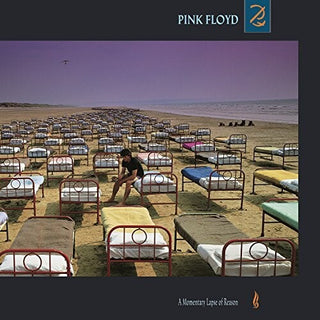 Pink Floyd- A Momentary Lapse Of Reason - Darkside Records